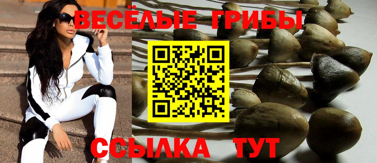 Псилоцибиновые грибы ЛСД Прохладный