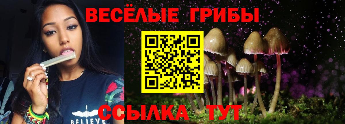 Прохладный  Псилоцибиновые грибы Cubensis  Вход с VPN  Псилоцибиновые грибы Magic Shrooms 